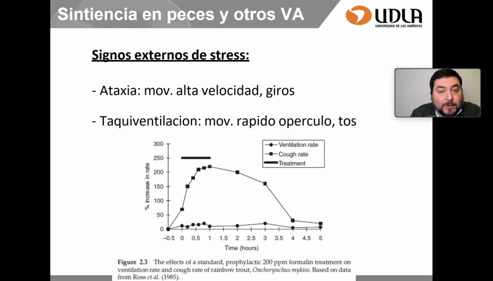 “Existe suficiente evidencia científica que indica que los peces son animales sintientes”