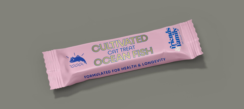 Empresas se unen y lanzan golosinas para gatos con peces cultivados en células