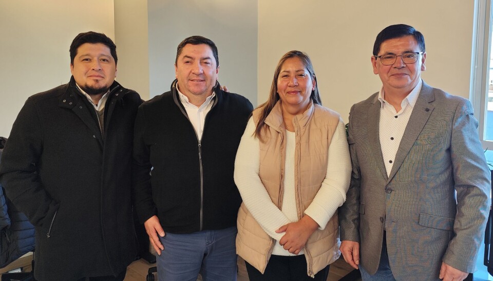 Rodrigo Vera, Rodrigo Gallardo, Miriam Chávez y Víctor Devia.
