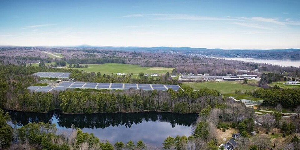 El centro de Belfast de Nordic Aquafarms ahora ha obtenido todos los permisos necesarios. Imagen: Nordic Aquafarms.