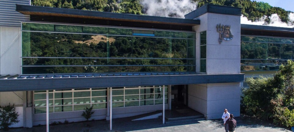 Camanchaca reordena sus negocios en cuatro áreas: una de ellas es la salmonicultora