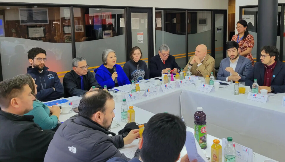 Los principales cinco puntos del proyecto de ley del Gobierno para proteger a los buzos