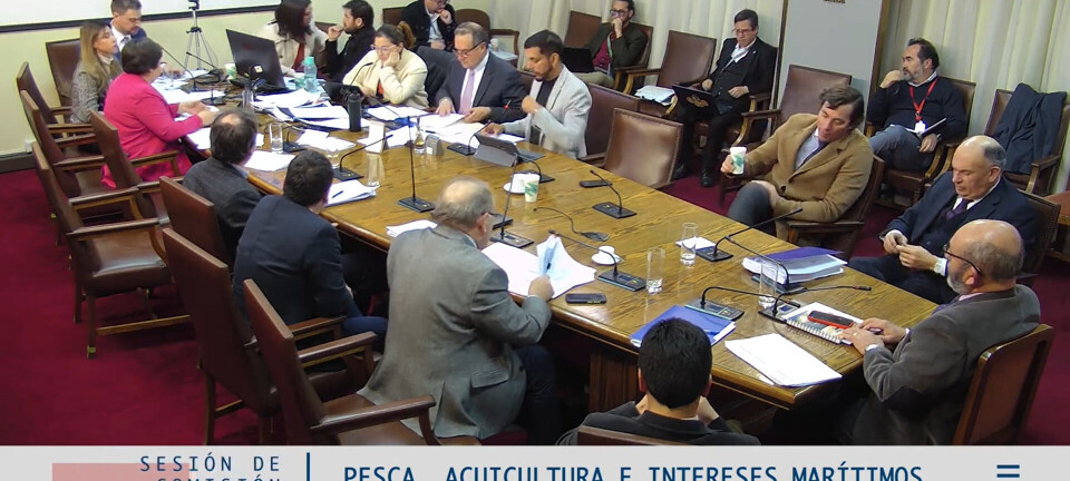 Industria aclara que reportaje de Washington Post no desincentiva el consumo de salmón chileno