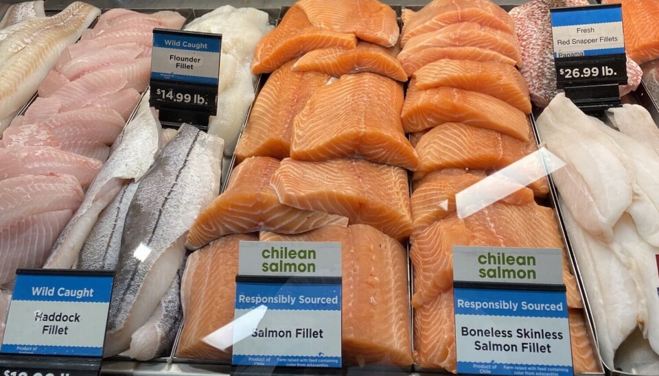 Los desafíos se mantienen inalterables para la salmonicultura según Kontali Salmón, chileno, Estados Unidos, EEUU, retail, supermercado