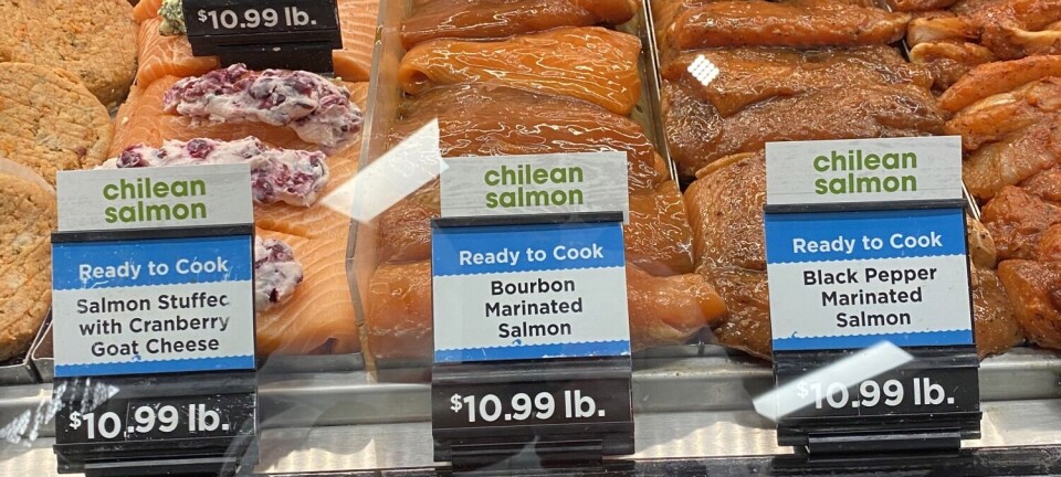 Precios del salmón chileno en Estados Unidos: ¿cómo se proyecta este y el próximo año?