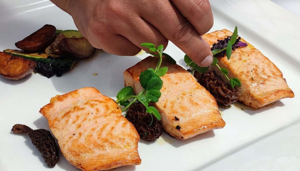 Foto: Salmonexpert.