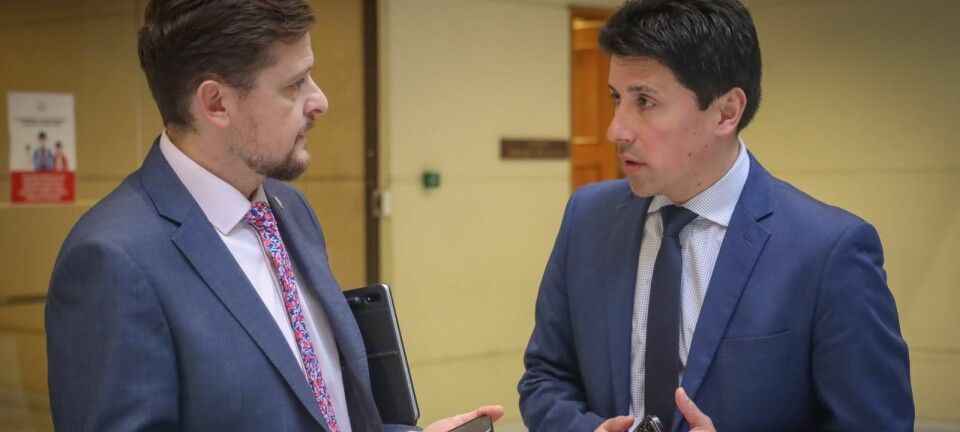 La ruta para desbaratar el crimen organizado que afecta al salmón en Chile