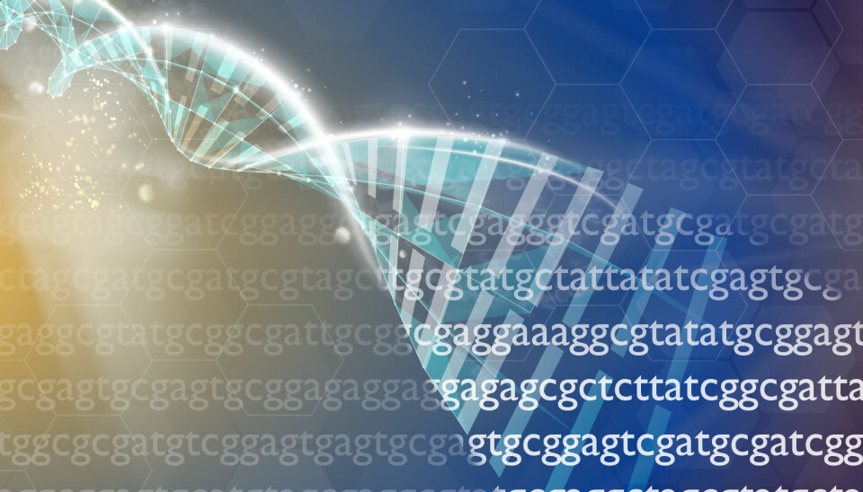Nuevos descubrimientos sobre la resistencia genética del salmón a Caligus genoma, gen, adn, arn, investigación, secuenciamiento, laboratorio, ciencia