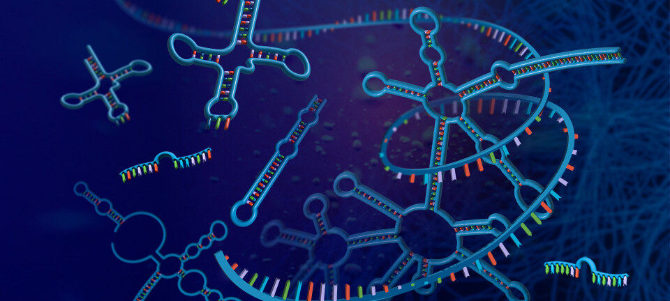 Descubren moléculas implicadas en funciones biológicas esenciales de patógenos acuícolas