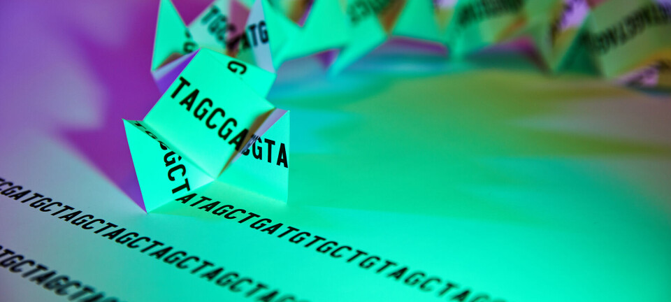 Publican primeros genomas de Flavobacterium aislados desde salmón coho en Chile