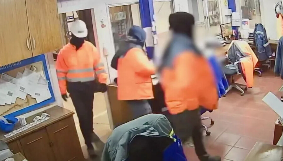 Cae banda que perpetró millonario robo de salmón: había empresarios y comerciantes