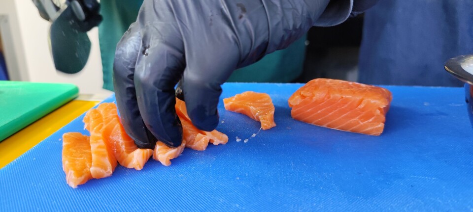 Japón y Brasil sacan la cara por los mercados estratégicos del salmón chileno