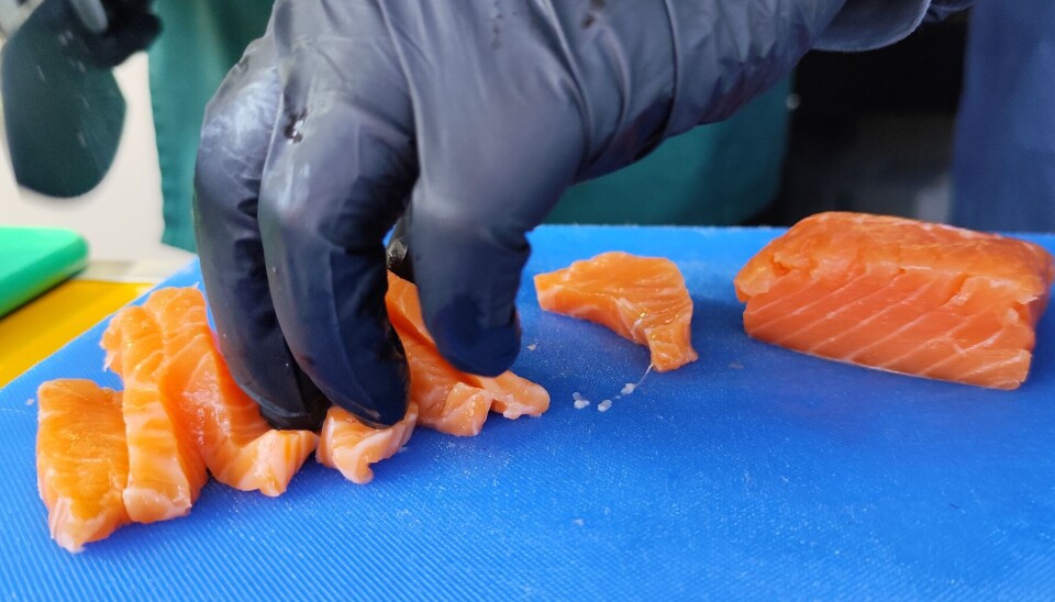 Foto: Salmonexpert.