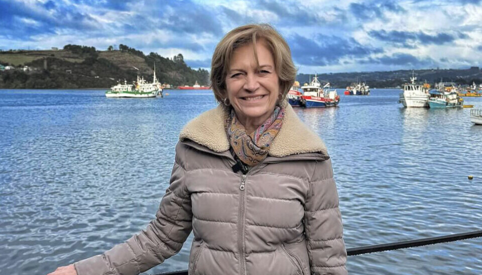 Evelyn Matthei.