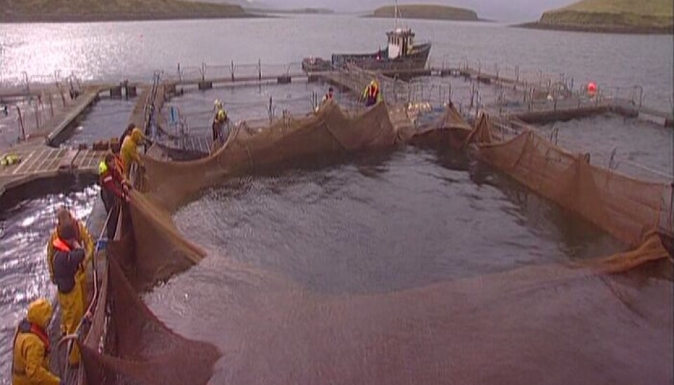 Centro de cultivo de salmones en Irlanda.