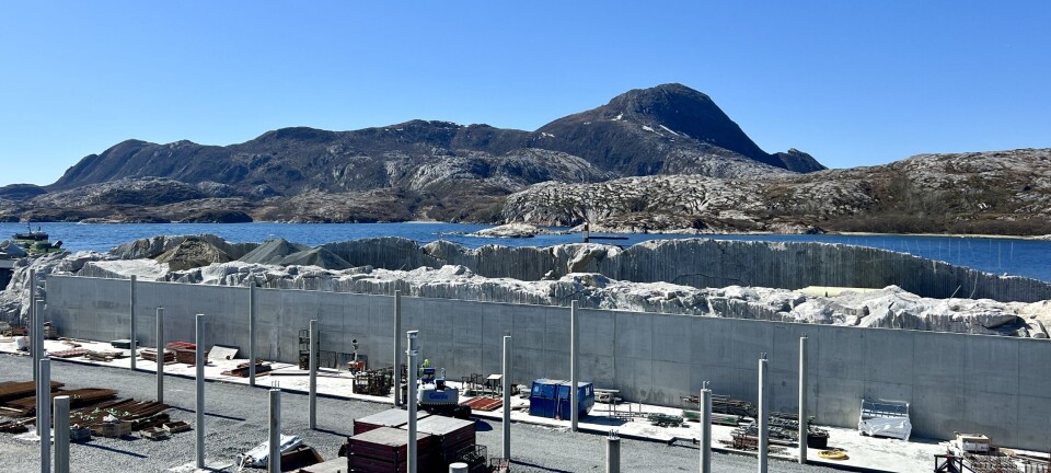 Gigante Salmon cultiva primer pez de 1 kilo