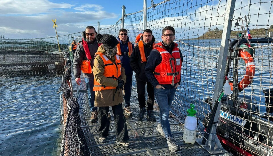 El subsecretario del Trabajo, Giorgio Boccardo, en un centro de cultivo de salmones.