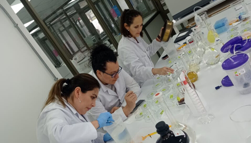 Paola Olmos, jefa del Laboratorio de Investigación Institucional, y Javier Campanini y Margarita González, docentes investigadores de la USS.