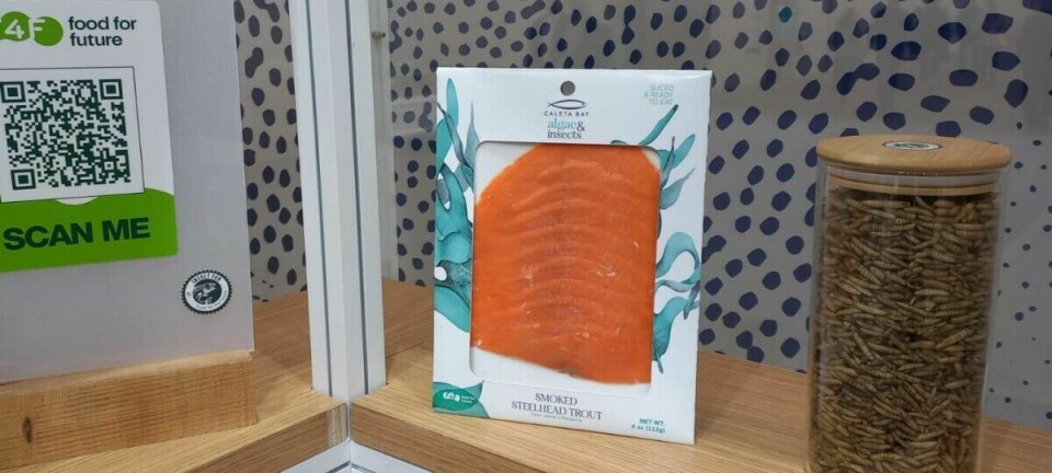 Trucha chilena entre los productos estrella que brillarán en Asia