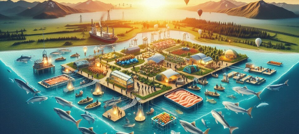 Estudio revela la gran importancia del sector salmonicultor para el emprendimiento regional