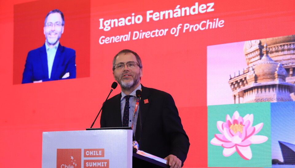 Director de ProChile, Ignacio Fernández.