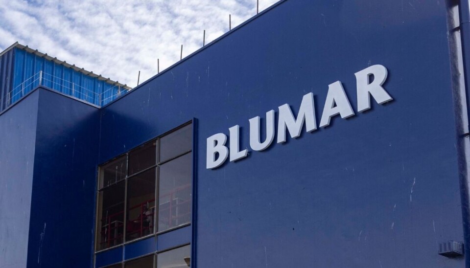 Los desafiantes resultados del área salmonicultora de Blumar