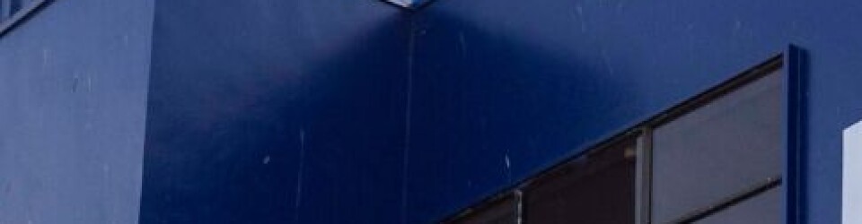 Blumar toma acciones para volcar los negativos resultados de su filial salmonicultora