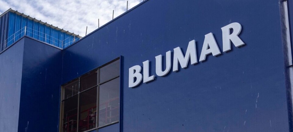 Los resultados salmonicultores de Blumar van mostrando una mejor cara