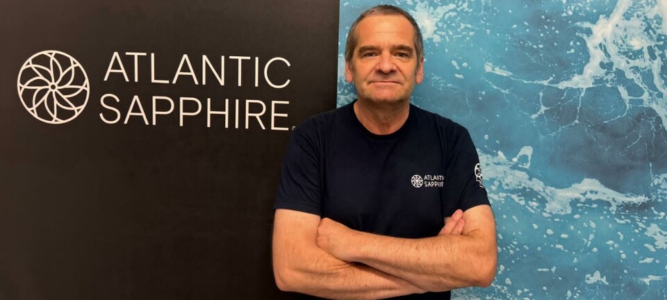 Los planes de Atlantic Sapphire para alcanzar las 28.000 toneladas de salmón