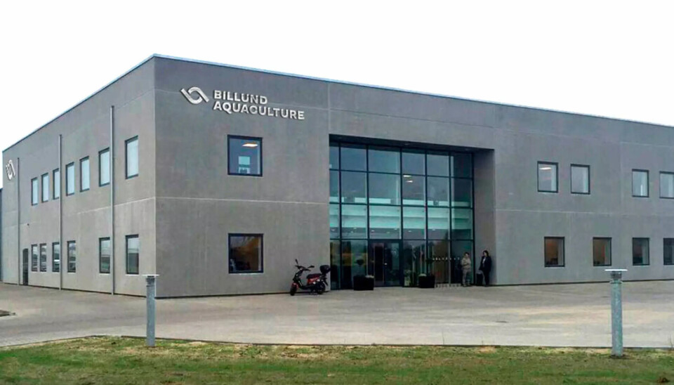 Evalúan adquisición de la propiedad de Billund Aquaculture en Chile
