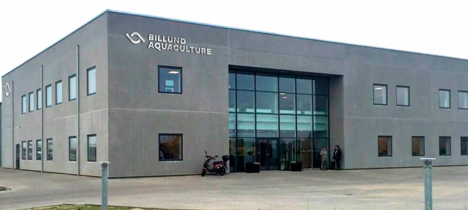 Evalúan adquisición de la propiedad de Billund Aquaculture en Chile
