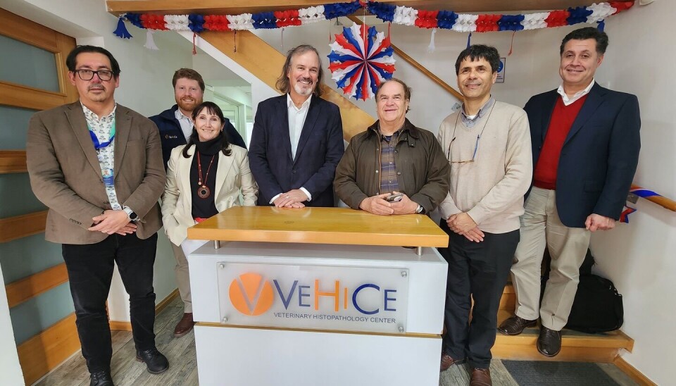 Corfo destaca a proveedor de la salmonicultura por su contribución al desarrollo regional