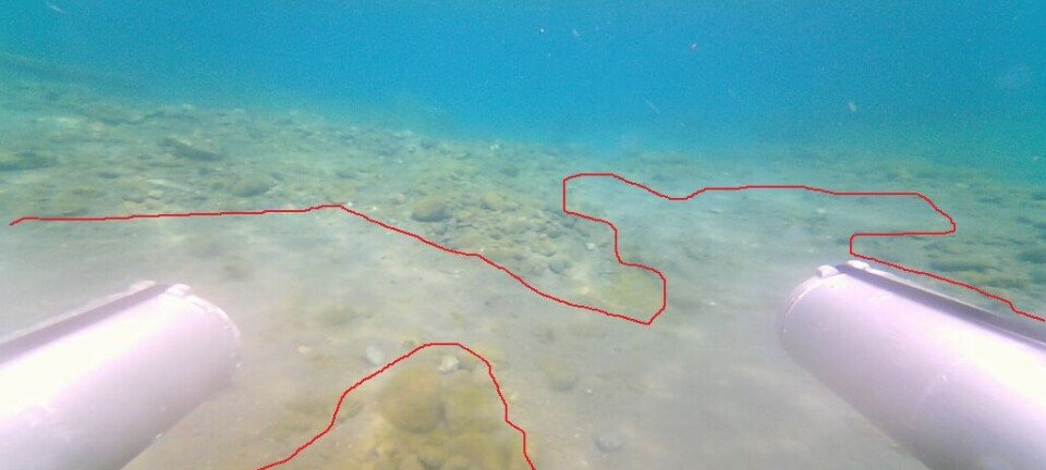 Lanzan nueva tecnología con IA para análisis de fondos marinos