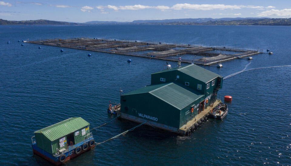 Invermar registra nuevo logro por sus esfuerzos para producción responsable y sostenible