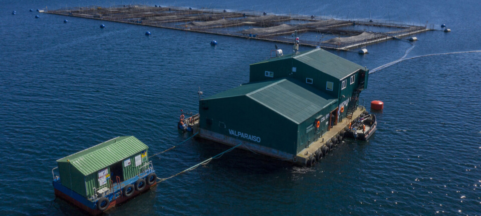 Invermar registra nuevo logro por sus esfuerzos para producción responsable y sostenible