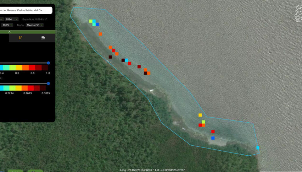 Salmonicultoras harán limpieza de playas a través de fotos satelitales e inteligencia artificial