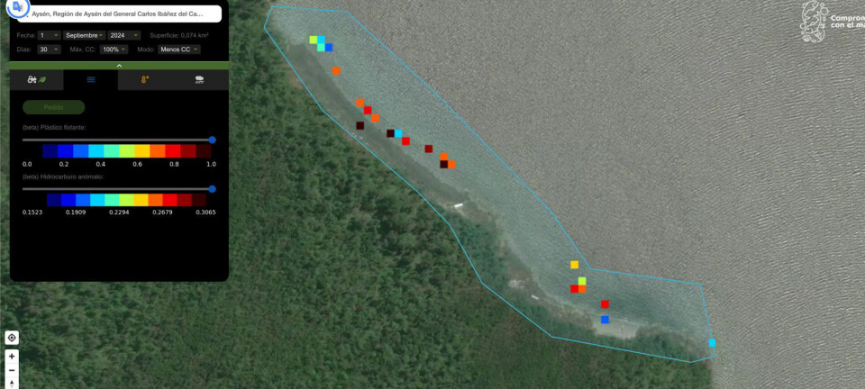 Salmonicultoras harán limpieza de playas a través de fotos satelitales e inteligencia artificial