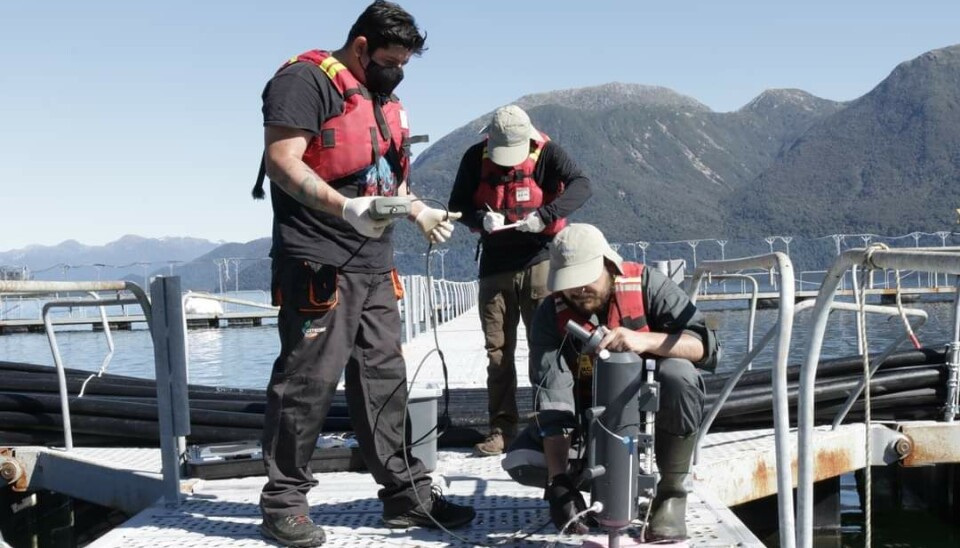 Proveedores de la salmonicultura en Aysén critican al Gobierno: “Estamos muy golpeados”