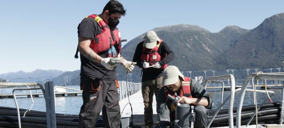 Proveedores de la salmonicultura en Aysén critican al Gobierno: “Estamos muy golpeados”