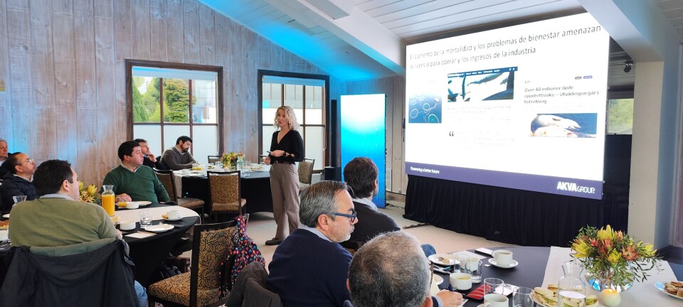 Afirman que la regulación chilena debería otorgar más incentivos para producir post-smolts