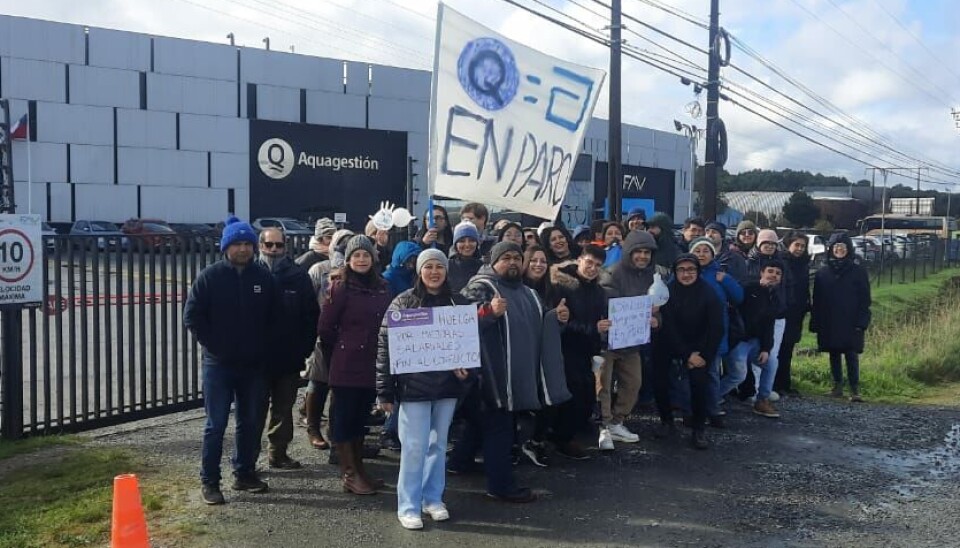 Trabajadores protestando pacíficamente a las afueras de la empresa.