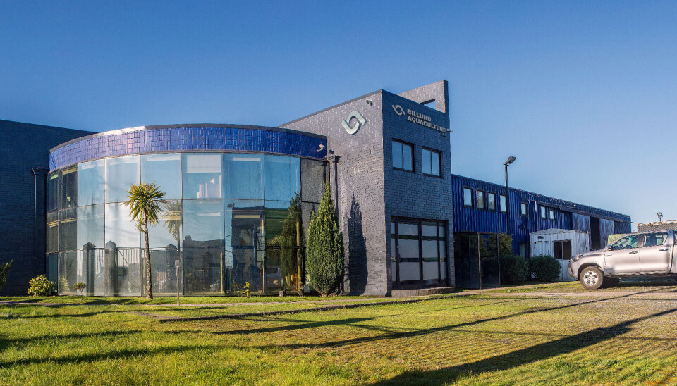 El camino de Billund Aquaculture Chile que la llevó a iniciar proceso de liquidación concursal