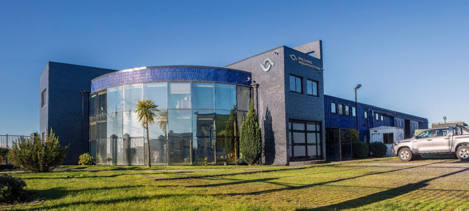 El camino de Billund Aquaculture Chile que la llevó a iniciar proceso de liquidación concursal