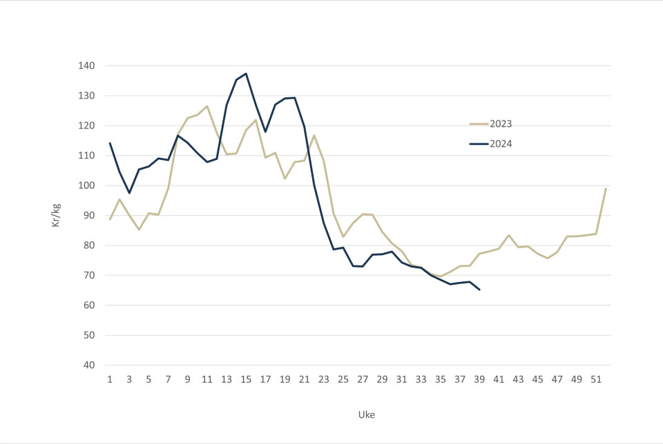El precio spot del salmón en 2024 (línea azul) versus 2023 (línea gris).
