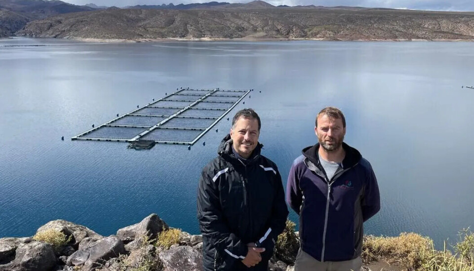 Lucas Maglio, country manager de Idris Patagonia y el centro de cultivo en el lago.