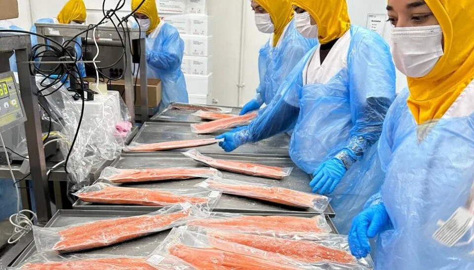 Más de 400 personas de la zona de Piedra del Águila se desempeñan en la acuicultura.