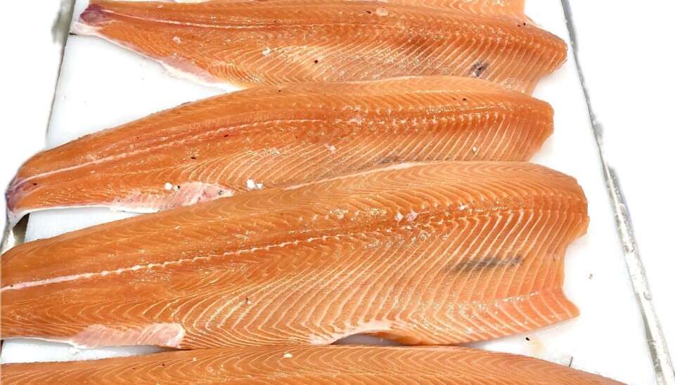 Dan a conocer producto que reduce la melanosis en salmón del Atlántico