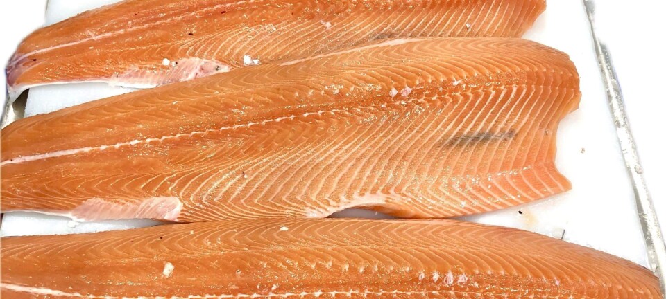 Dan a conocer producto que reduce la melanosis en salmón del Atlántico