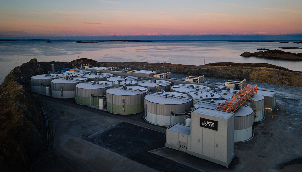 Fase 1 de las instalaciones de Salmon Evolution en Indre Harøy, que produce tanto peces comestibles como post-smolts para la venta.