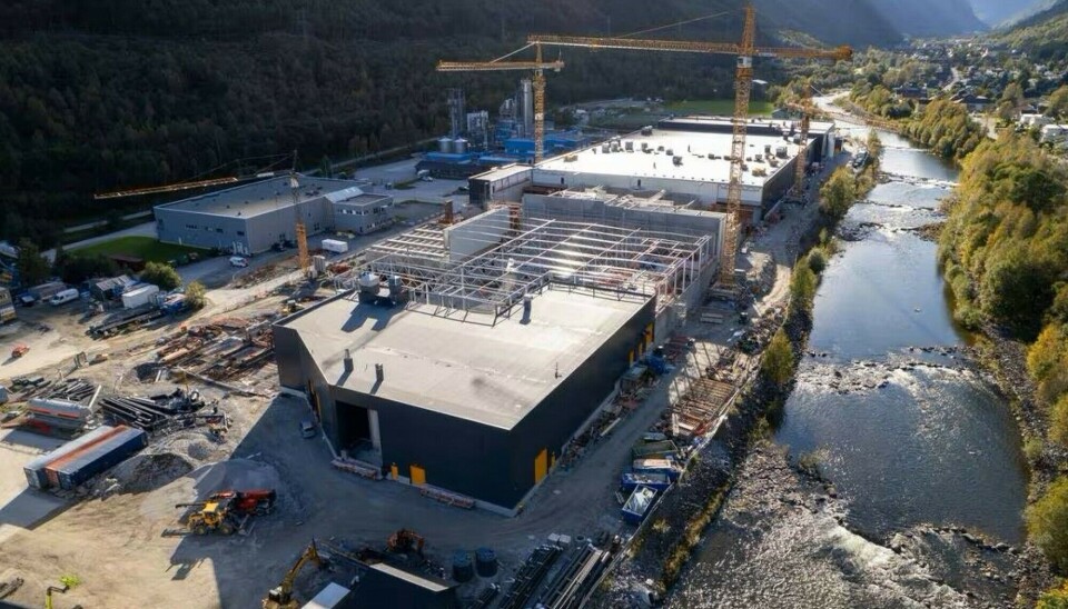 Centro de truchas más grande del mundo reporta un buen crecimiento